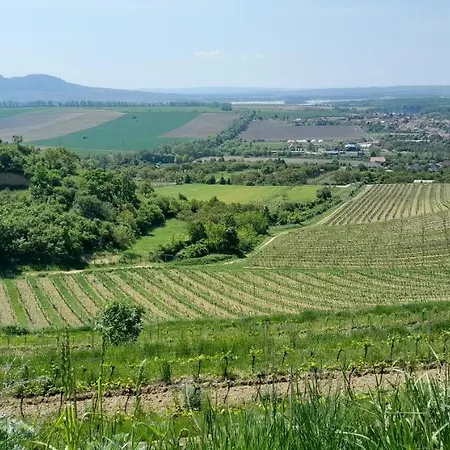 Ubytovani Na Sklepe U Prochazku Pouzdrany Exterior photo
